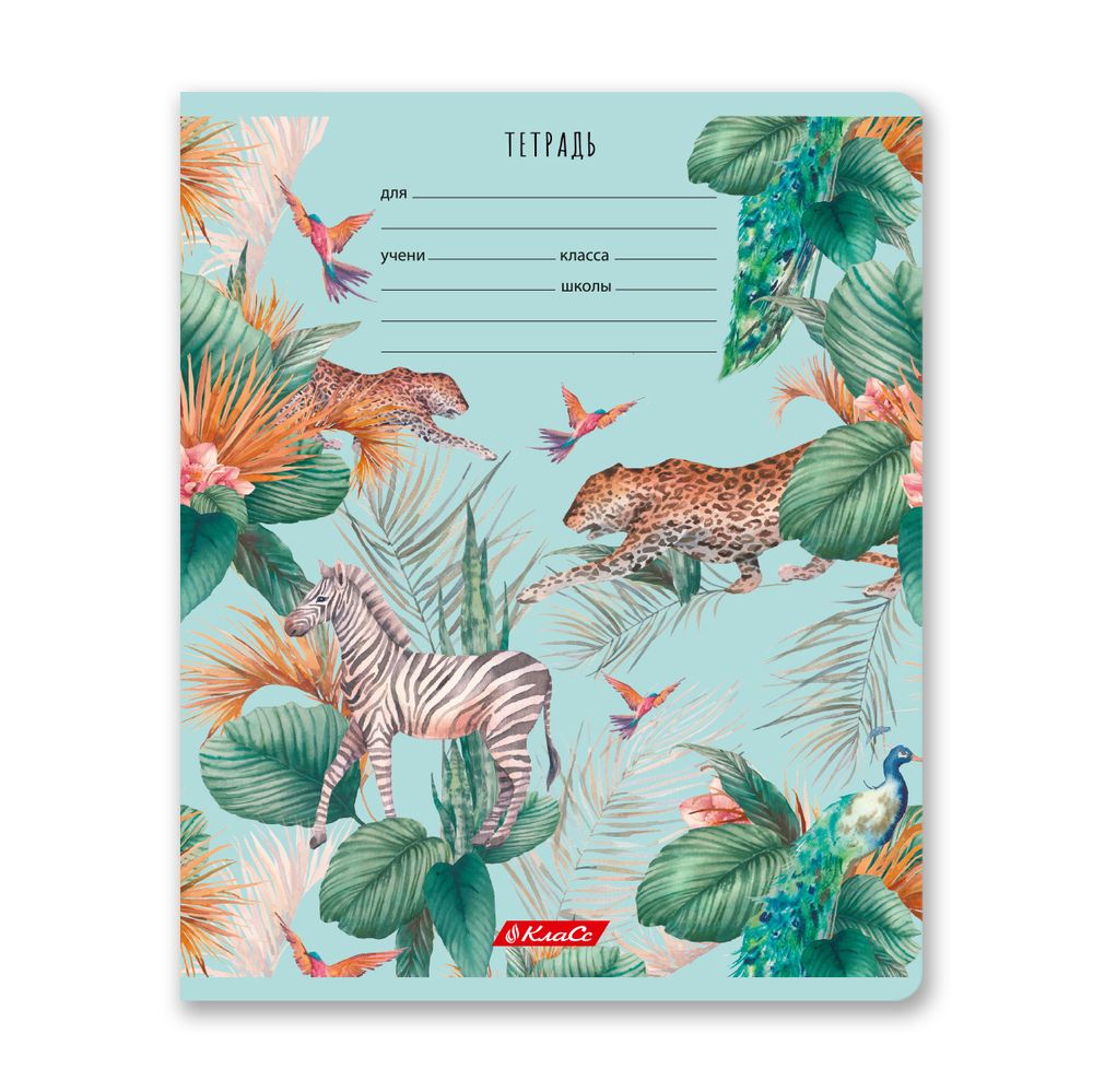 Тетрадь ученическая школьная, A5+ 24 л. на скобе 65 г/м², белизна 100% 30 шт, клетка, 000721 Саванна, Светоч 24ТЕТк-001