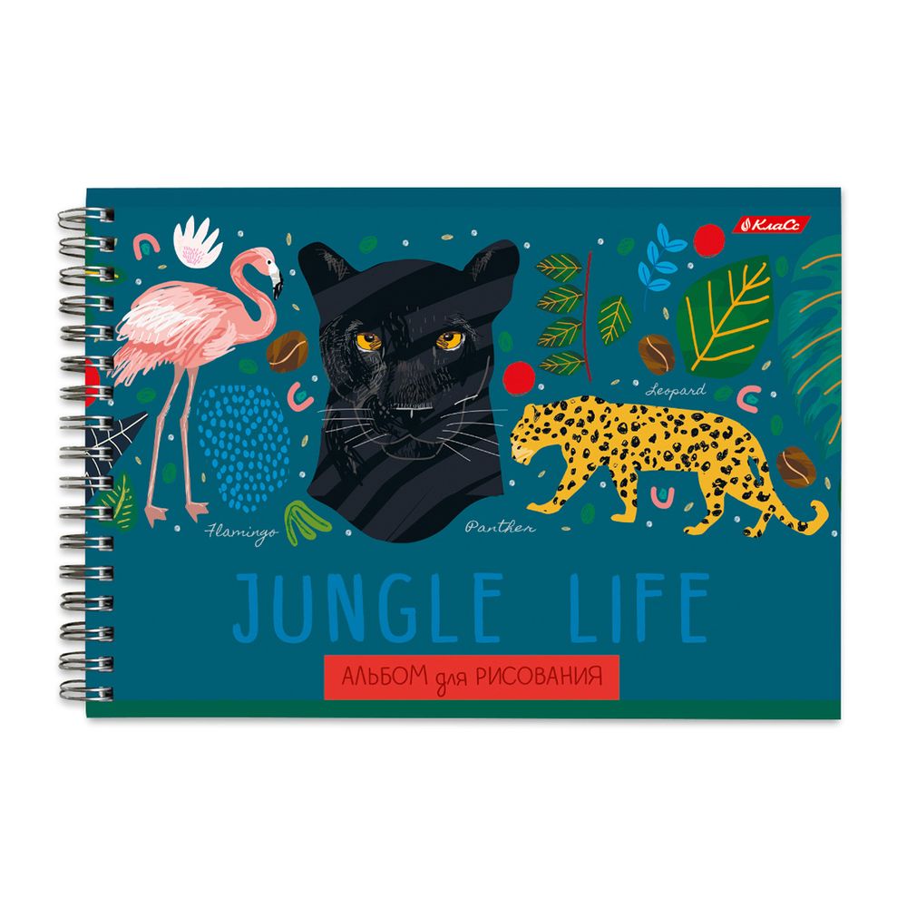 Альбом для рисования, матовая ламинация, 100 г/м², A4 29х20.5 см, 4 шт, на гребне 48 л, 000277 Дивный мир, Светоч 48АЛГР4_2_3_9