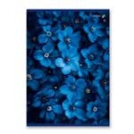 Тетрадь ученическая общая, выборочный лак, A4 80 л. на скобе 65 г/м², белизна 100% 6 шт клетка, 01763 Сквозь синий туман, Светоч Т155