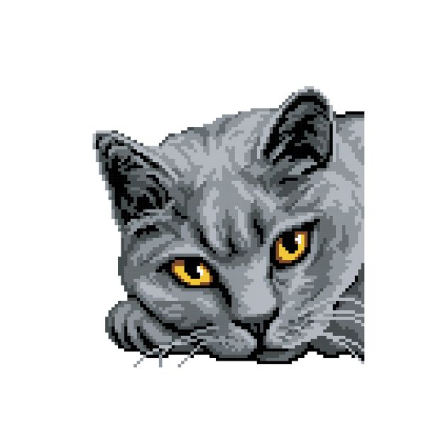 Алмазная (кристальная) мозаика Фрея, постер Британская кошка, 30х30 см