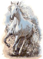 Картина по номерам Фрея, Со скоростью ветра, 40х30 см