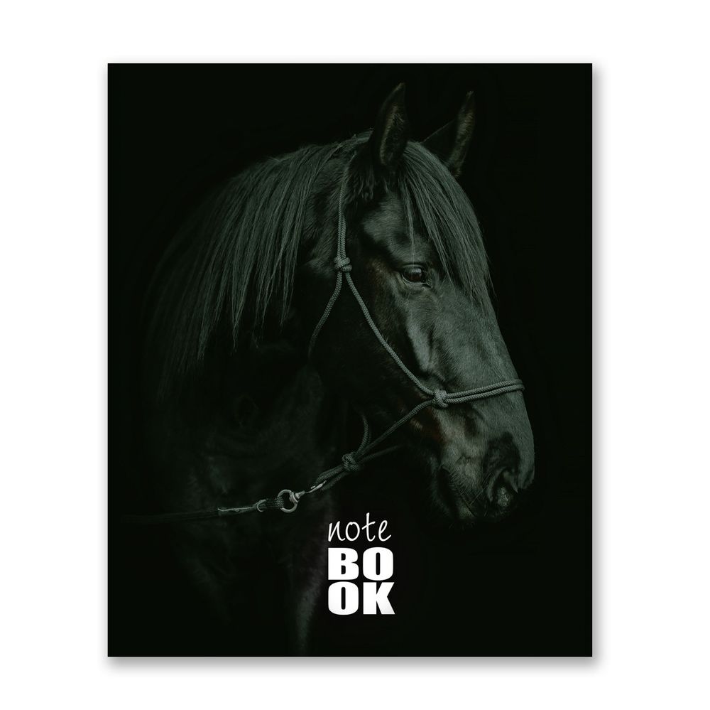 Бизнес-блокнот, матовая ламинация, A5+ 80 л. 18 шт, клетка, Грация 000422, Светоч 80ББТ5_2_5_1