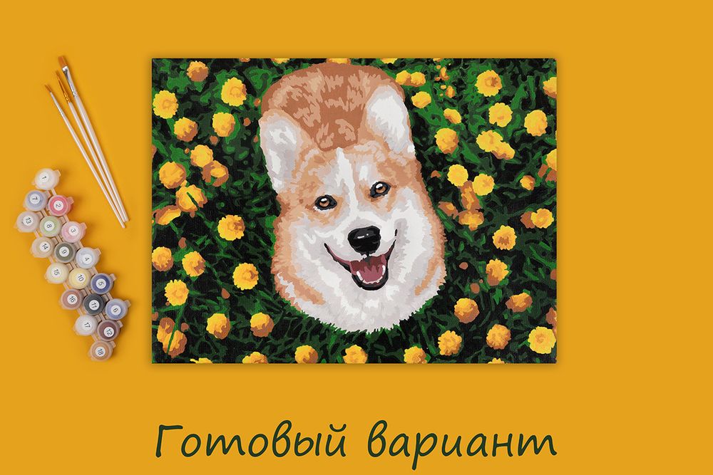 Картина по номерам Фрея, Радостный корги, 40х30 см