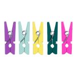 Прищепки декоративные 2.5 см, 125 шт, 08 В расцвете, Mr.Painter DKN-04