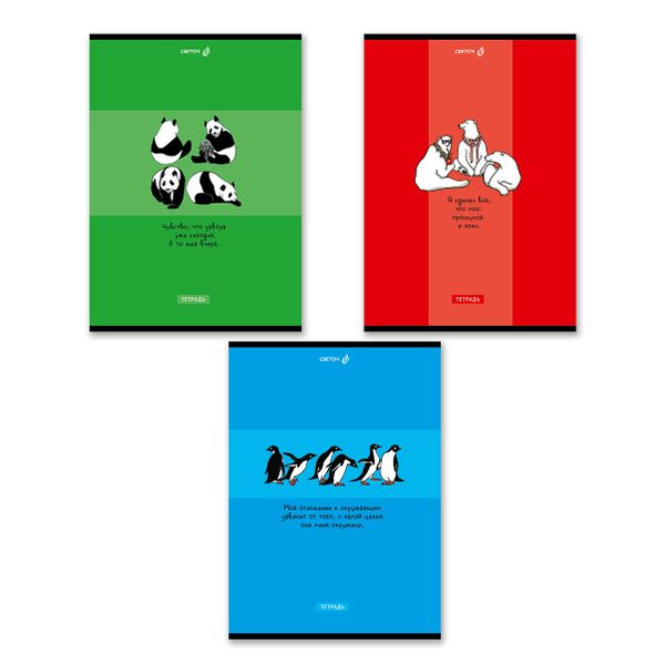 Тетрадь ученическая общая, A4 48 л. на скобе 65 г/м², белизна 100 %, 6 шт, клетка, 01342 Создаём настроение!, Светоч Т152