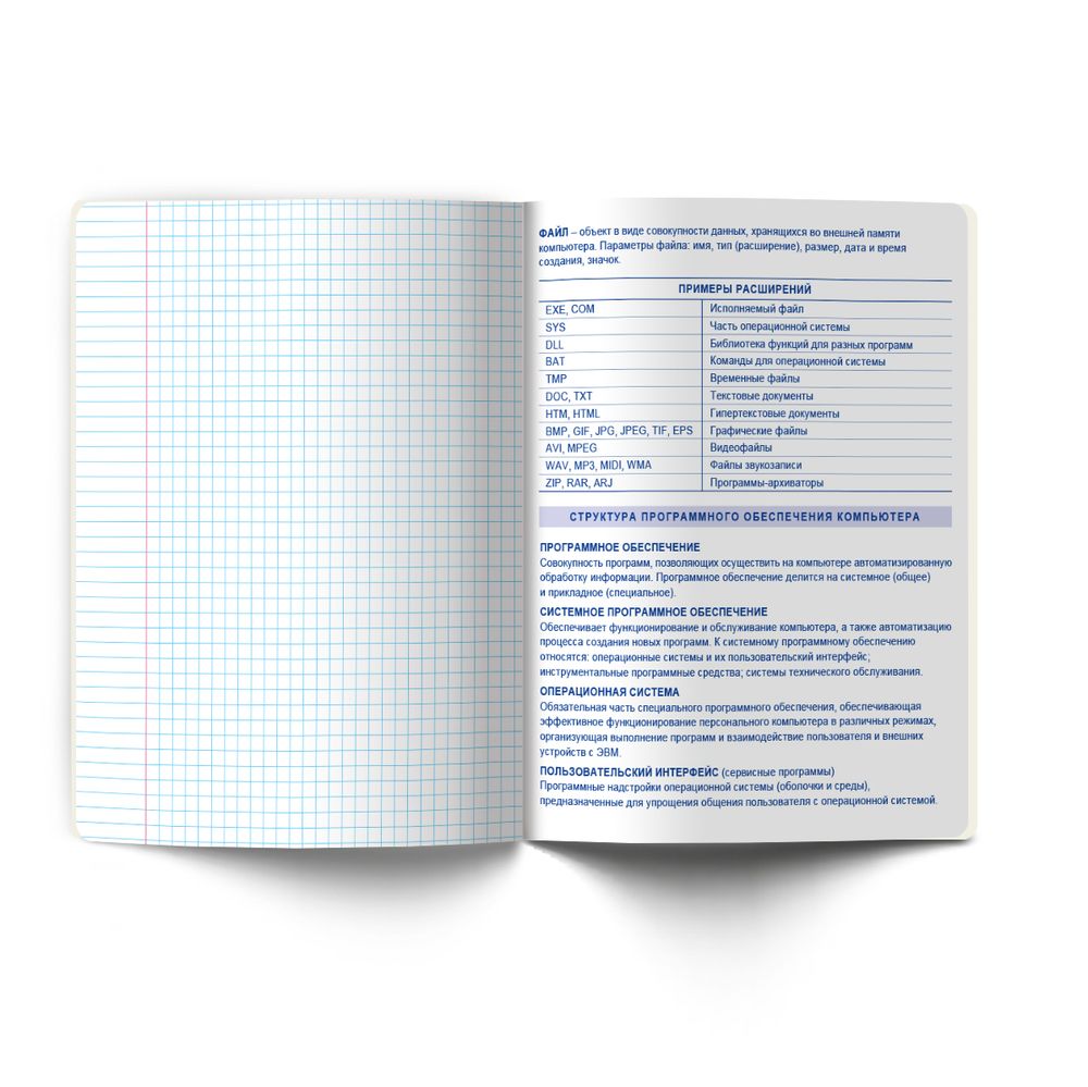 Тетрадь со справочным материалом Большая перемена, выбор.лак, A5 48 л. на скобе 65 г/м², белизна 100% 10 шт клетка, 01819 Большая перемена Информатика, Светоч Т280