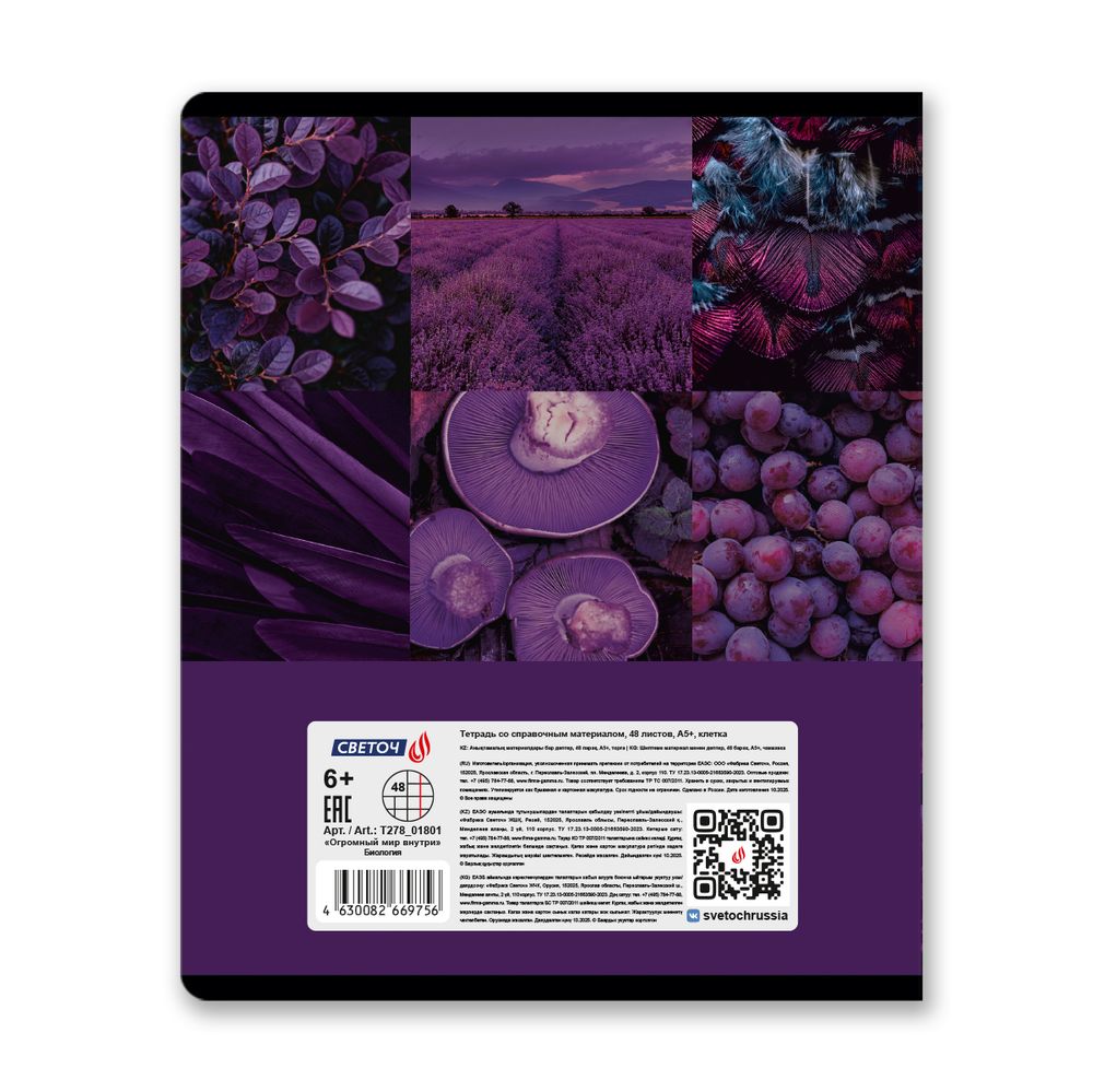 Тетрадь со справочным материалом Огромный мир внутри, A5 48 л. на скобе 60 г/м², белизна 90% 10 шт клетка, 01801 Огромный мир внутри Биология, Светоч Т278