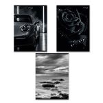 Тетрадь ученическая общая, A4 48 л. на скобе 65 г/м², белизна 100% 6 шт клетка, 01756 Магия чёрного, Светоч Т152