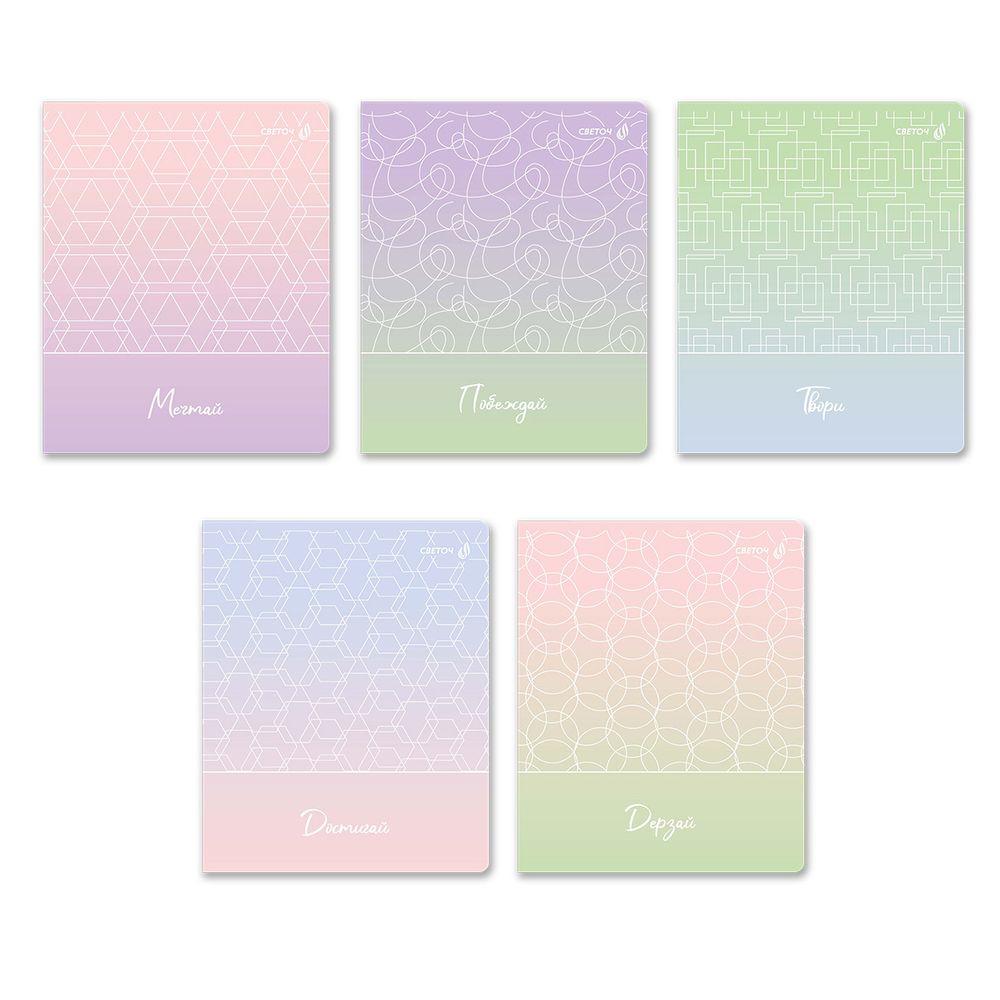 Тетрадь ученическая общая, софт-тач ламинация + выборочный лак, цветной запечатанный форзац, A5+ 48 л. на скобе 65 г/м², белизна 100 %, 10 шт, клетка, 00995 Кружева, Светоч 48Т14