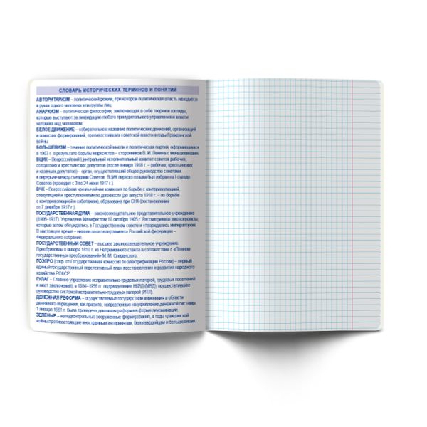 Тетрадь со справ.материал. Яркость по расписанию с запечат. пластик.обл. 320мкм, A5 48 л. на скобе 65 г/м², белизна 100% 10 шт, клетка, 01864 Яркость по расписанию История, Светоч Т288