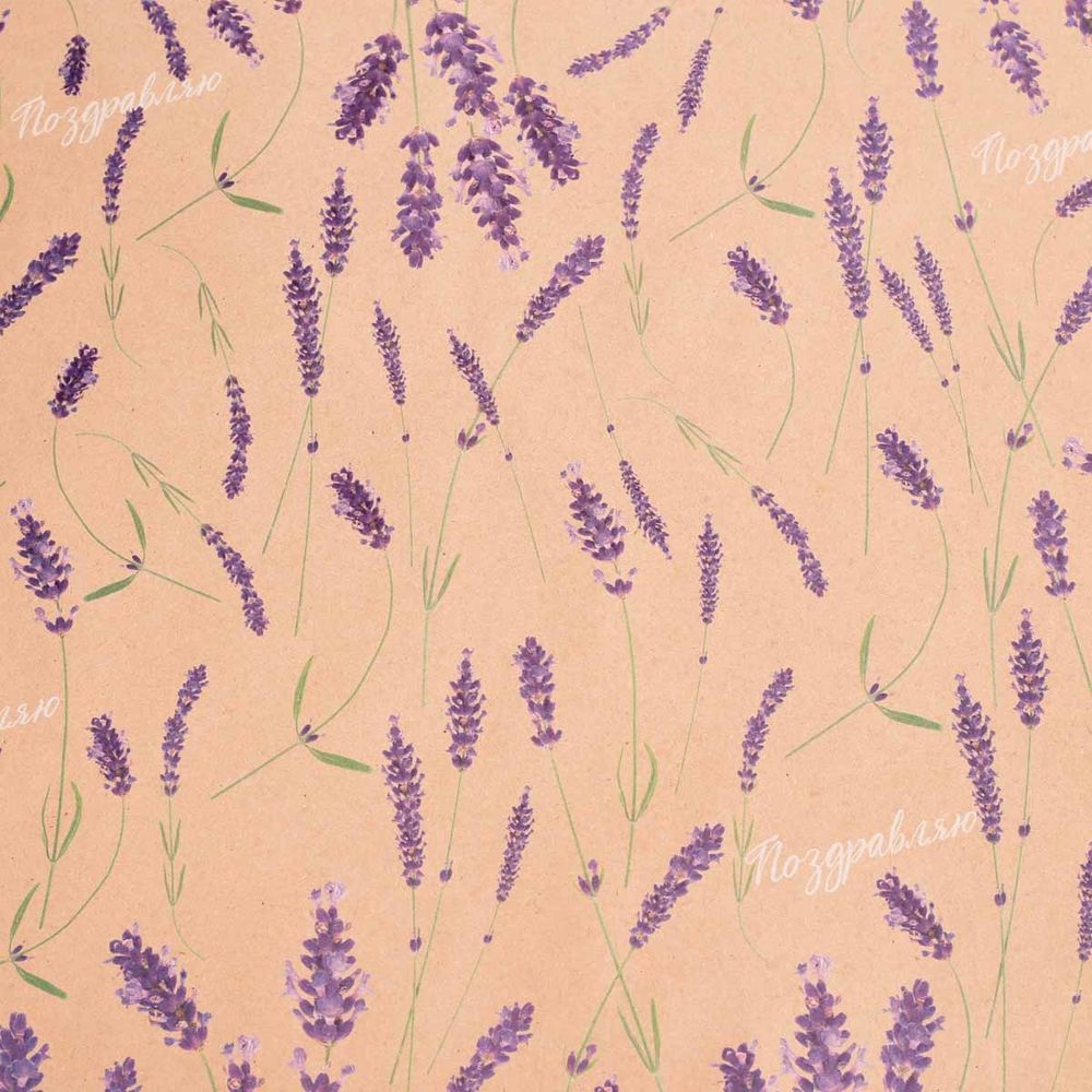 Бумага упаковочная крафт "Лаванда", 70х50 см, 10 шт /TOS/