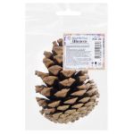 Шишка крымской сосны, 1 шт, 35 г, ± 10 г, 8 см, ± 2, 01, Blumentag PIF-06
