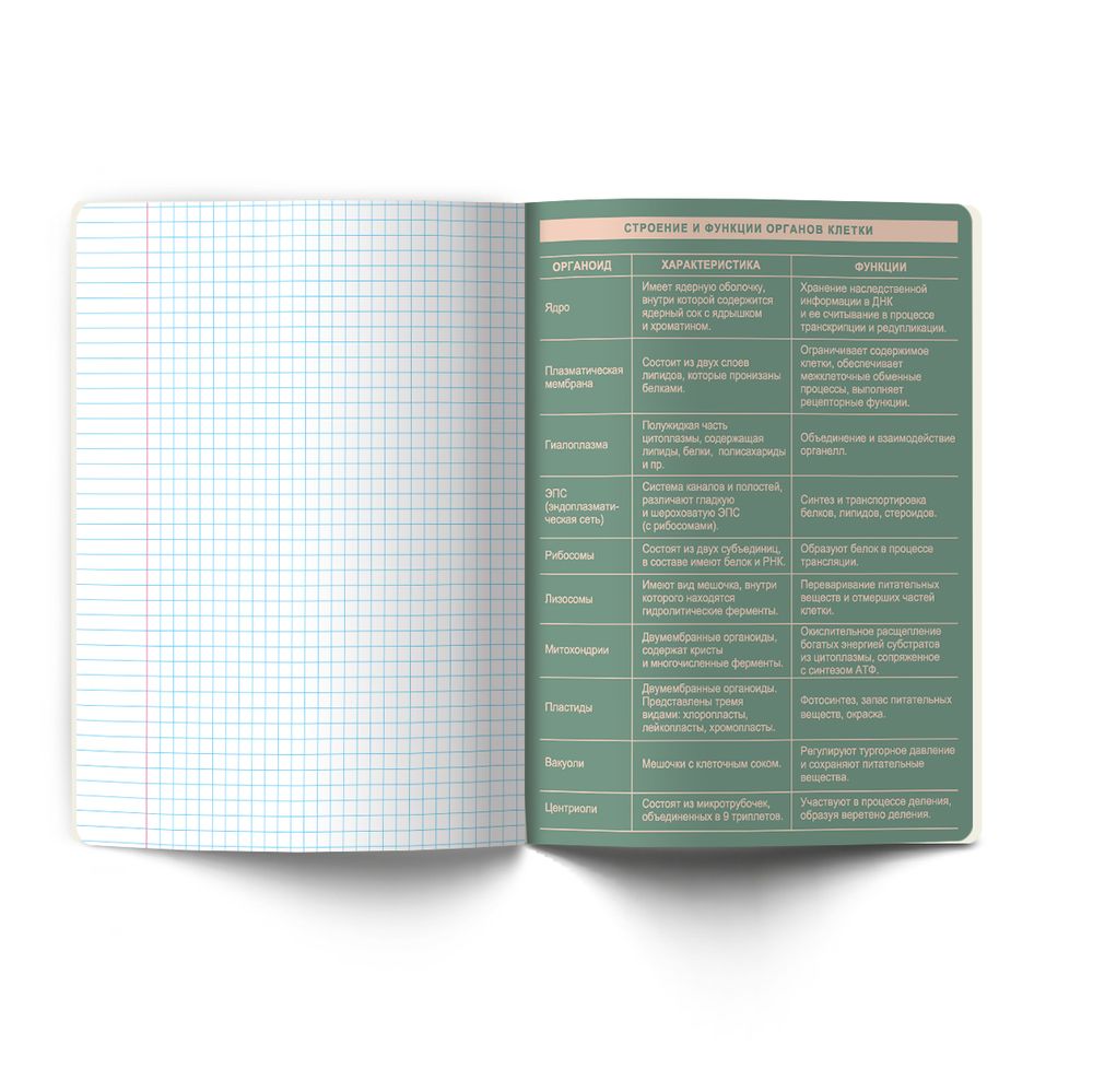 Тетрадь со справочным материалом Лёгким почерком, софт-тач ламинация, A5 48 л. на скобе 65 г/м², белизна 100% 10 шт, клетка, 01837 Лёгким почерком Биология, Светоч Т284