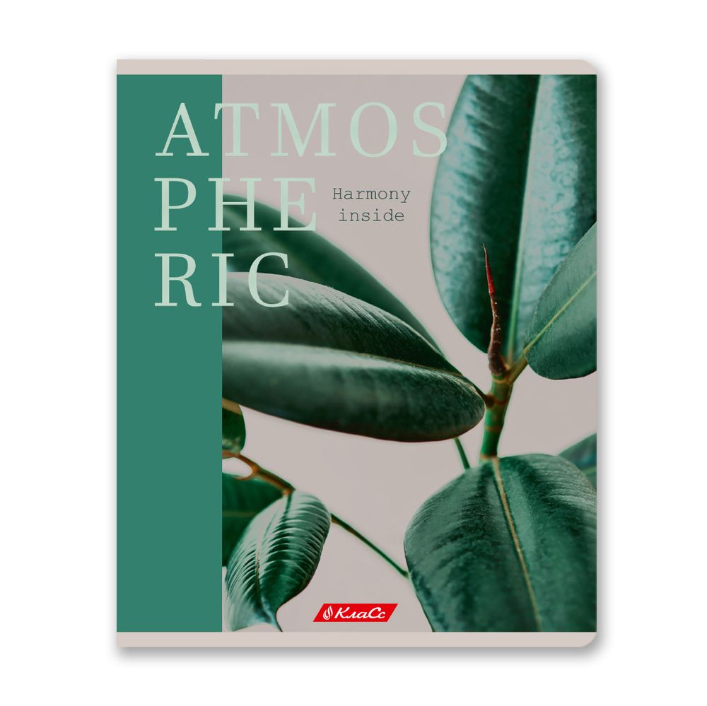 Тетрадь ученическая общая, A5+ 96 л. на скобе 60 г/м², белизна 100%, 5 шт, клетка в термоусадочной пленке, 000767 Атмосферная, Светоч 96ТЕТк-001