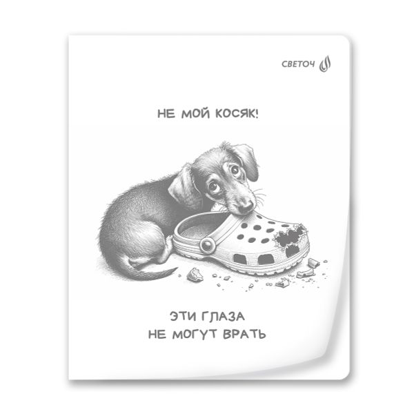 Тетрадь общая с пластик.обложкой 180 мкм, ч/б запечат. титульн.лист, A5 48 л. на скобе 65 г/м², белизна 100% 10 шт клетка, 01495 МИКС - Чёрно-белый мир, Светоч Т196