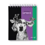 Артбук (Скетчбук), блок черный, жесткая подложка, 120 г/м², 175х200 мм, на гребне 30 л. 2 шт, Грей 01943, Светоч А307