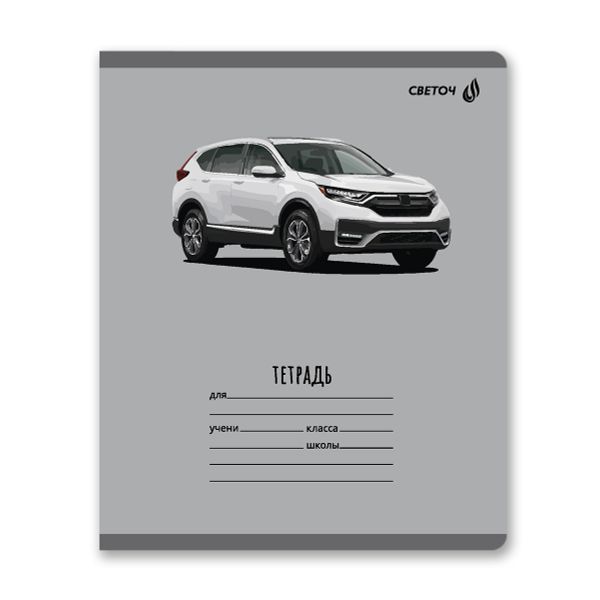Тетрадь ученическая школьная, выборочный лак, A5 18 л. на скобе 65 г/м², белизна 100% 20 шт линия, 01454 Дрифт, Светоч Т185