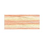 Мулине Anchor мультиколор, цв.1318, 12 мотков по 8 метров