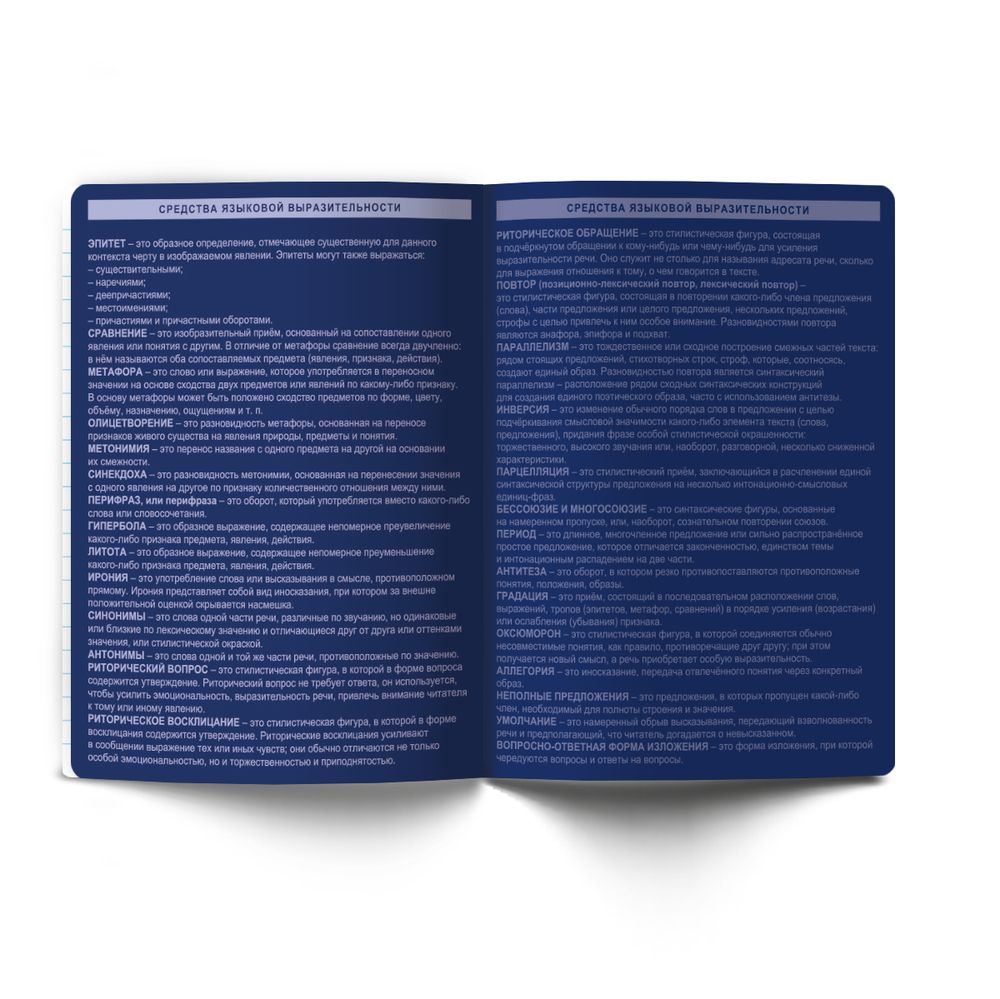 Тетрадь со справочным материалом Золотые главы, тисн.золот.фольгой, A5 48 л. на скобе 65 г/м², белизна 100% 10 шт линия, 01857 Золотые главы Литература, Светоч Т287