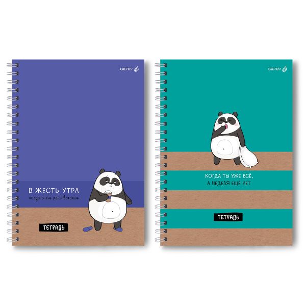 Тетрадь ученическая общая, выборочный УФ лак, A4 80 л. на гребне 65 г/м², белизна 100 %, 4 шт, клетка, 01241 В жесть утра, Светоч Т128