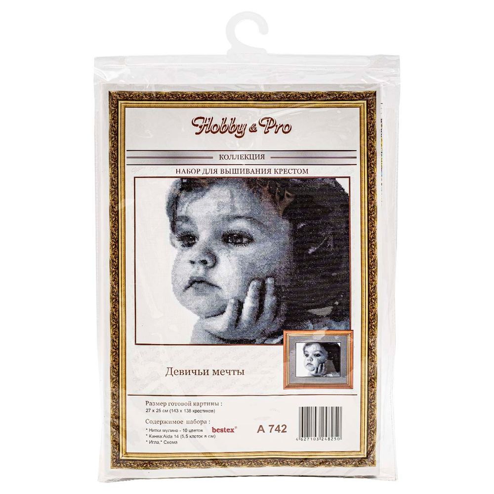 Набор для вышивания нитками Hobby&Pro, Девичьи мечты 27х25см