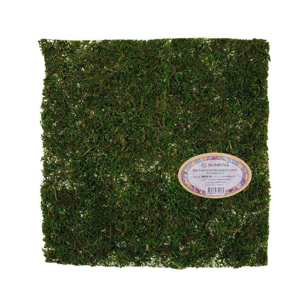 Лист из натурального мха 30 см, зеленый, Blumentag BKM-30