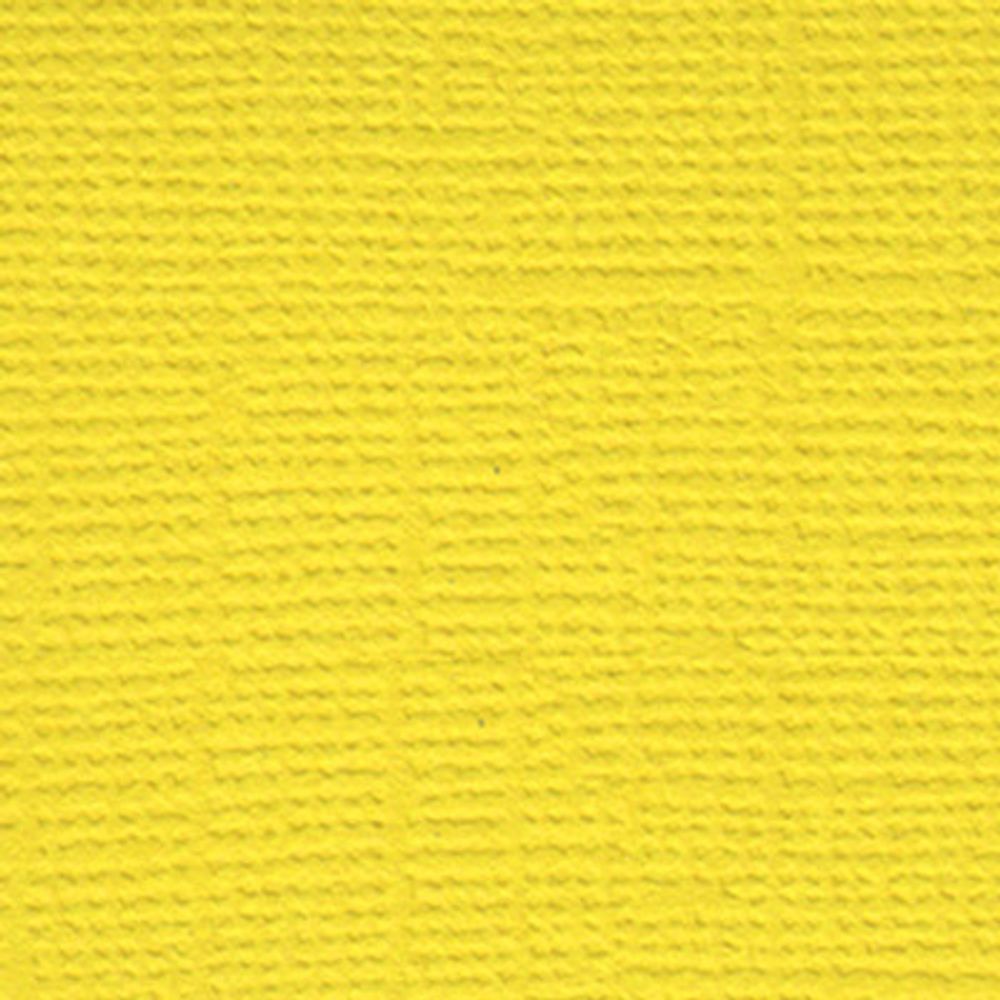 Бумага для скрапбукинга 216 гр/м², 30.5х30.5 см, 10 шт, 27 Весенний одуванчик (желтый), Mr.Painter PST