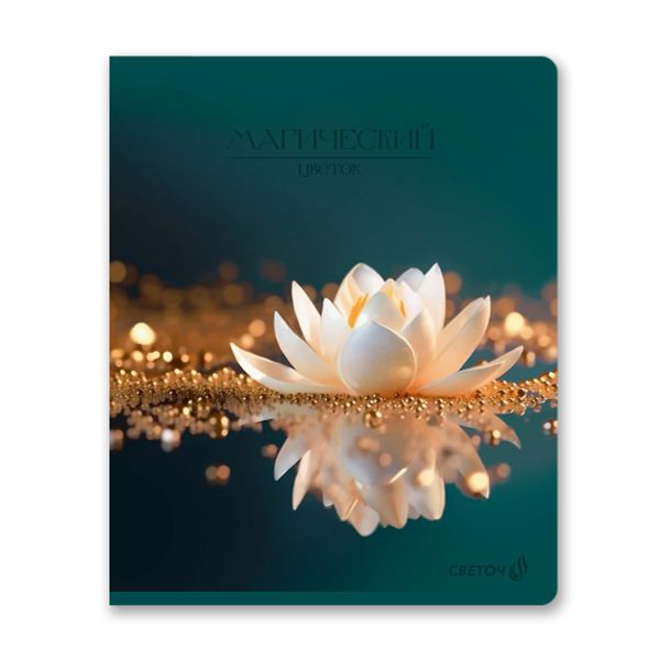 Тетрадь ученическая общая, софт-тач ламинация + выборочный лак, цветной запечатанный форзац, A5+ 48 л. на скобе 65 г/м², белизна 100 %, 10 шт, клетка, 00994 Изумрудные мысли, Светоч 48Т14