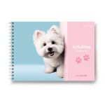 Альбом для рисования выбор.лак. 100 г/м², A4 29.5х21 см, 5 шт на гребне 40 л, 01619 Люблю розовое, Светоч А232