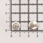 Хольнитены 1-сторонние ⌀11.0 мм, h=11.0 мм, металл, №123, никель, уп.≈100 шт, New Star