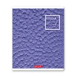 Тетрадь ученическая общая A5+ 48 л. на скобе, белизна 100%, 10 шт, клетка, 000308 Черничный рай, Светоч 48ТСК5_1_3_1