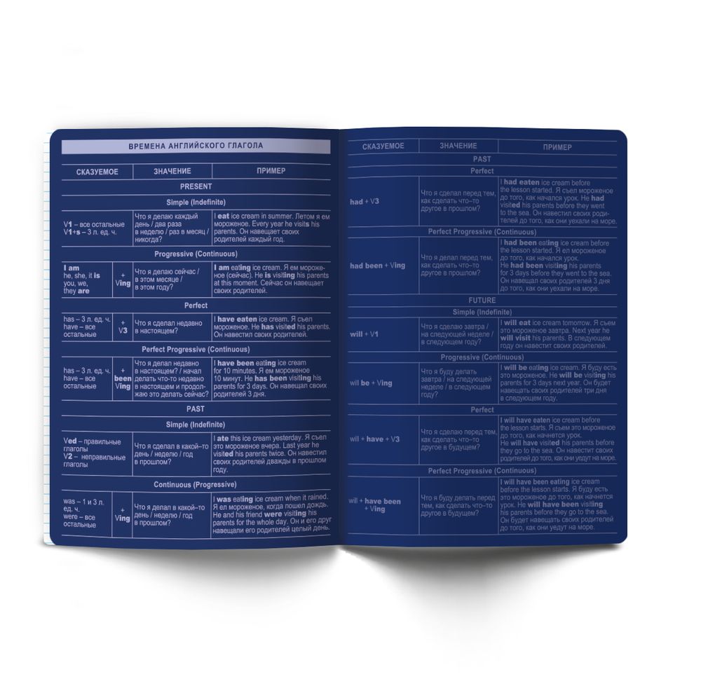 Тетрадь со справочным материалом Золотые главы, тисн.золот.фольгой, A5 48 л. на скобе 65 г/м², белизна 100% 10 шт клетка, 01848 Золотые главы Английский язык, Светоч Т286