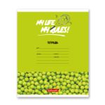 Тетрадь ученическая школьная A5+ 24 л. на скобе, белизна 100% 30 шт, клетка, 000372 Мячики, Светоч 24ТСКд5_1_3_1