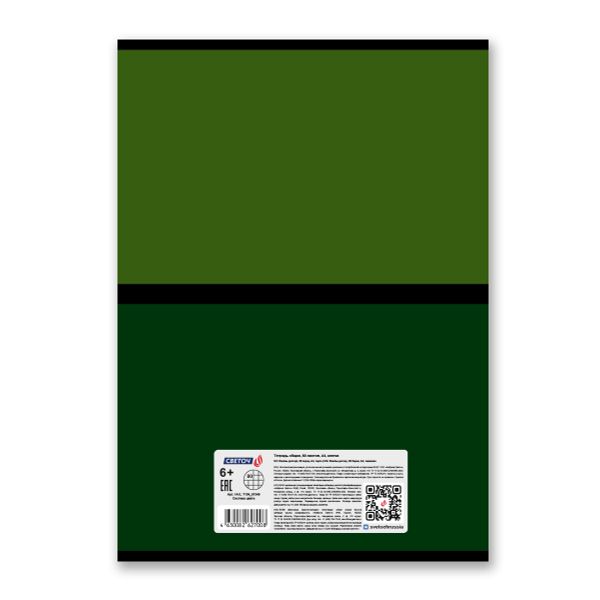 Тетрадь ученическая общая, A4 80 л. на скобе 65 г/м², белизна 100 %, 6 шт, клетка, 01349 Система цвета, Светоч Т154