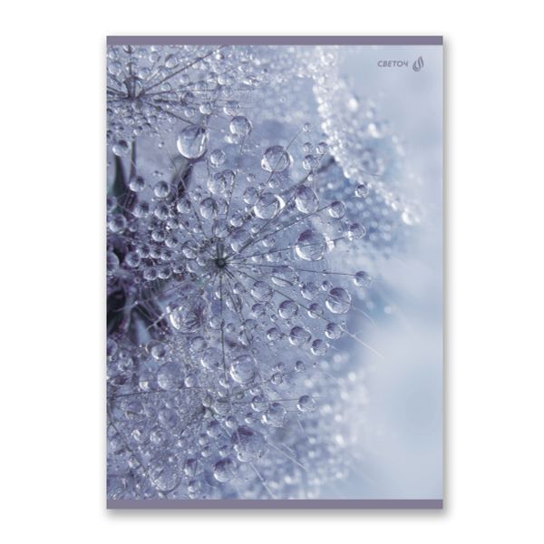 Тетрадь ученическая общая, A4 96 л. на скобе 65 г/м², белизна 100 %, 6 шт, клетка, 01351 Утренняя роса, Светоч Т156