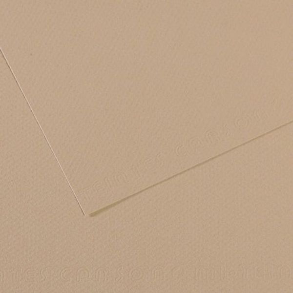 Бумага для пастели Mi-Teintes 160 г/м², 50х65 см, 10 л, №343 Серо-бежевый, Canson, C31032S099