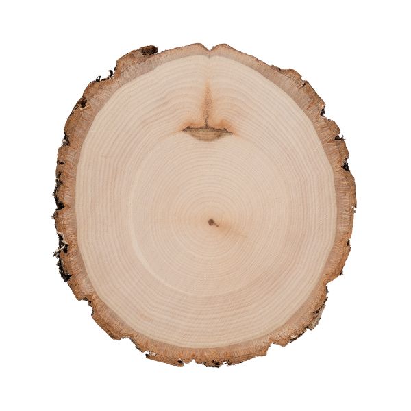Срез дерева круглый ⌀14 см, 1 шт, Blumentag, СРЕЗ-Б13