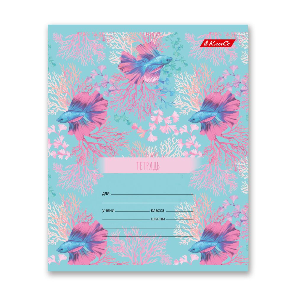 Тетрадь ученическая школьная A5+ 24 л. на скобе 65 г/м², белизна 100% 30 шт, клетка, 000375 Океания, Светоч 24ТСКд5_1_3_1