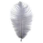 Перья страуса декоративные 20-25см, 10 шт в упак, серый