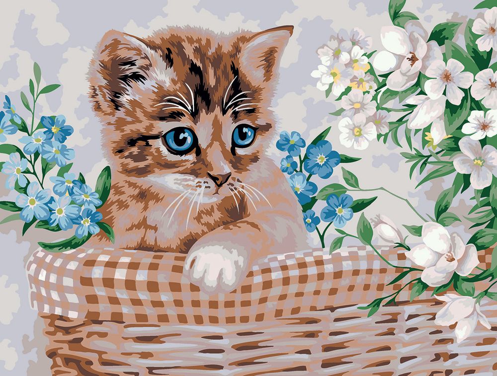 Картина по номерам Фрея PNB/PM-194, 40х30 см, Пушистый малыш