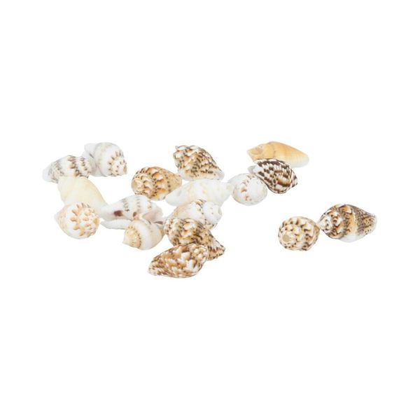 Ракушки декоративные 15х10 мм, 100 г (5х20 г), №01 натуральный, Zlatka D20-29