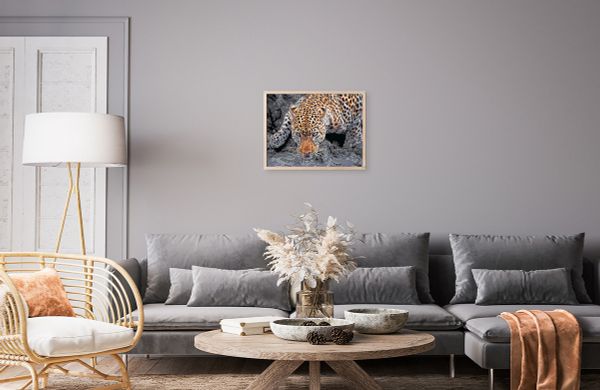 Картина по номерам Фрея PNB/PMC-193, Взгляд хищника, (цветной холст) 40х30 см