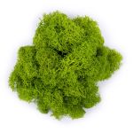 Мох стабилизированный окрашенный 50 г, 01 салатовый, Blumentag BMSR-50