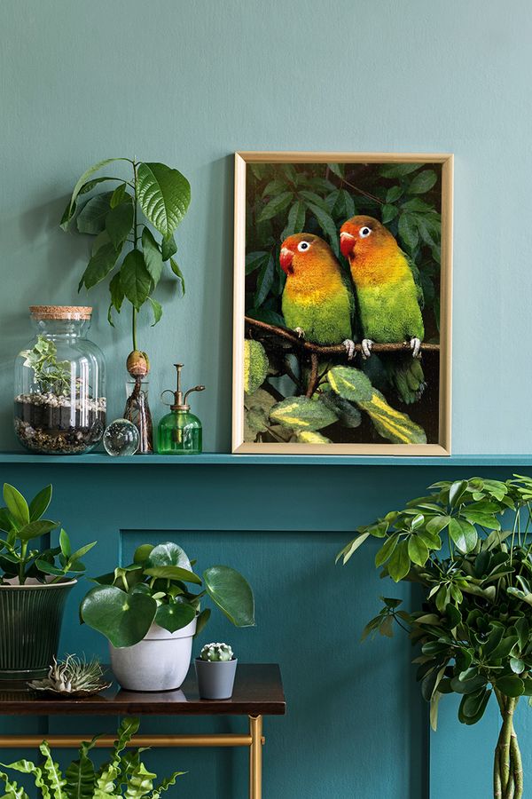 Пазл 500 элементов, Попугаи-неразлучники, PZL-500/39, Фрея