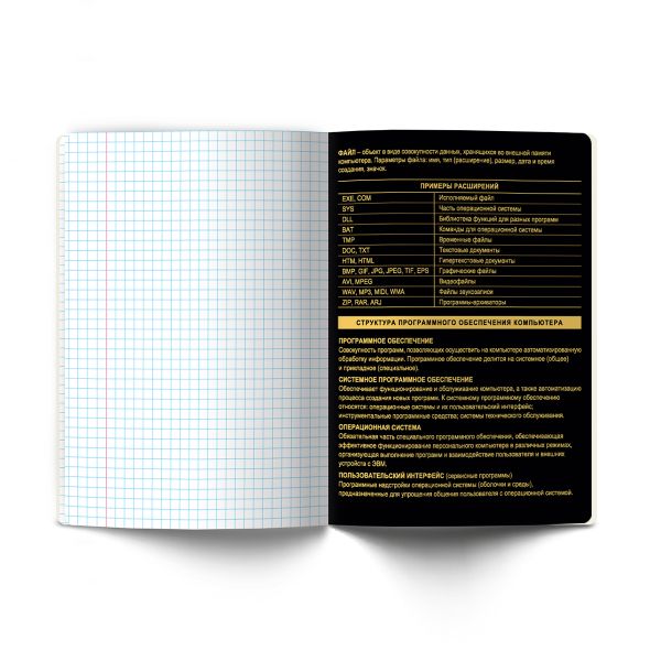 Тетрадь со справочным материалом Золотая коллекция, тиснение золотой фольгой, A5+ 48 л. на скобе 65 г/м², белизна 100 %, 10 шт, клетка, 01332 Золотая коллекция Информатика, Светоч Т145