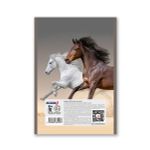 Блокнот на скобе, A5 60 л. 12 шт клетка, Скорость и грация 01742, Б263 Светоч