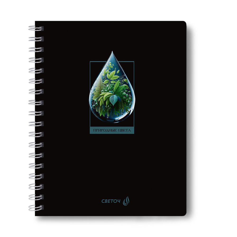 Тетрадь ученическая общая с двойной обложкой, A5 96 л. на гребне 65 г/м², белизна 100 %, 4 шт, клетка, 01209 Грани прекрасного, Светоч Т118