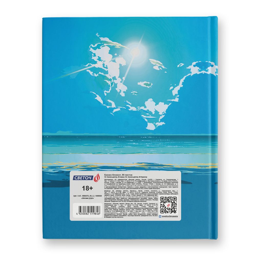 Бизнес-блокнот, матовая ламинация + выбор.лак, A5+ 80 л. 22 шт, клетка, Летнее утро 000920, Светоч 80ББТ5_93_5_1
