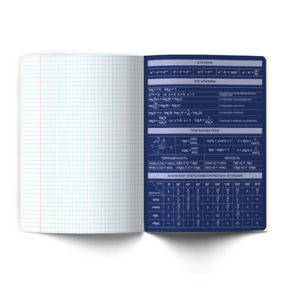 Комплект тетрадей со справочными материалами Золотые главы, тисн.золот.фольгой, A5 48 л. 12 шт на скобе 65 г/м², белизна 100% 1 шт, клетка/линия, 01887 12 предметов, Светоч Т298