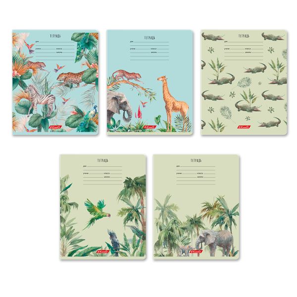 Тетрадь ученическая школьная, A5+ 24 л. на скобе 65 г/м², белизна 100% 30 шт, клетка, 000721 Саванна, Светоч 24ТЕТк-001